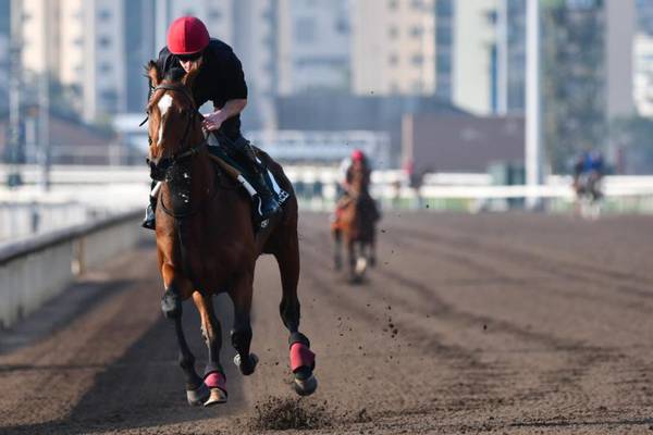 Aidan O’Brien: Highland Reel will ‘be hard to replace’