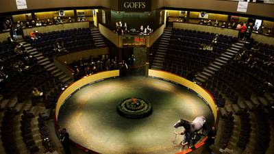 Brexit impacts on profits and bloodstock sales at Goffs in Kildare