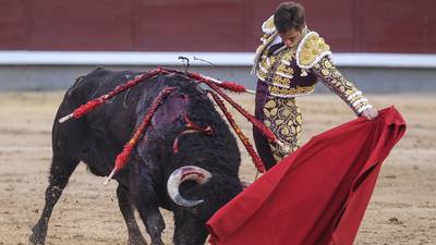 National Bullfighting Prize has been cancelled, says Spanish culture minister