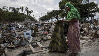 Indonesian earthquake survivors scavenge for food