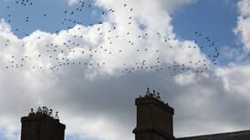 Poem of the Week: What’ll we do with all the dead chimneys?   