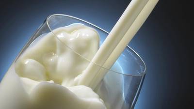 Paula Mee: The truth eludes researchers in the saturated fat wars