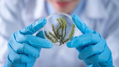 Alliance of natural science and technology key to a more sustainable future