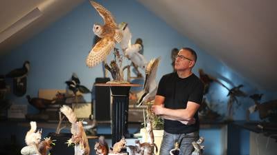 ‘People think we go out killing stuff for taxidermy. It couldn’t be further from the truth’