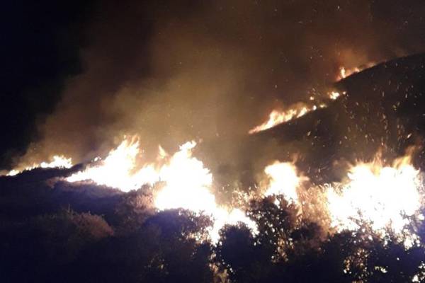 Wicklow hill fire ‘started maliciously’, believes fire chief