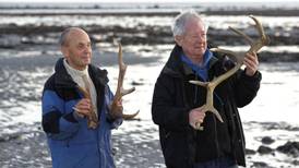 Antlers and   horse bones dating back 1,500 years found on  Galway beach