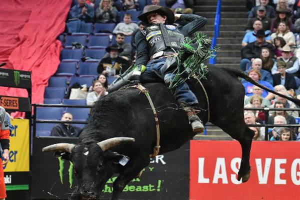 Professional rider Mason Lowe dies after bull steps on his chest