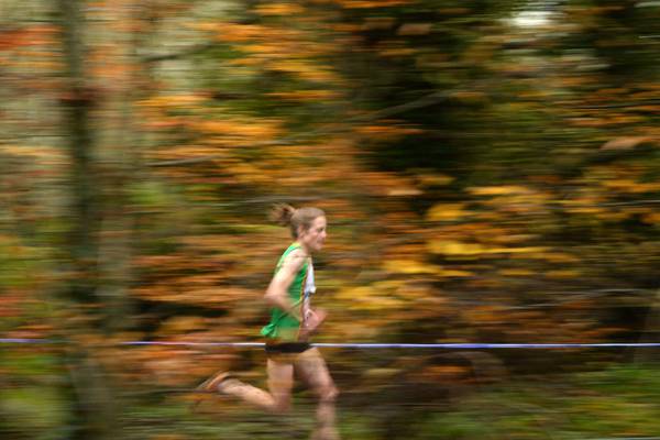 Sonia O’Sullivan: Time to begin planning for hosting next year’s European Cross-Country