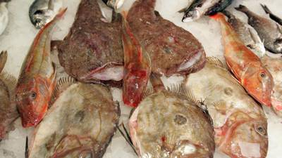 EC audit highlights gaps in food safety controls for fishery products