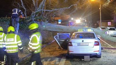 Storm Gerrit: Taxi driver injured by falling tree in Waterford as west coast braces for more wind