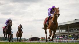 Brian Kavanagh positive about addressing  Irish Derby issues