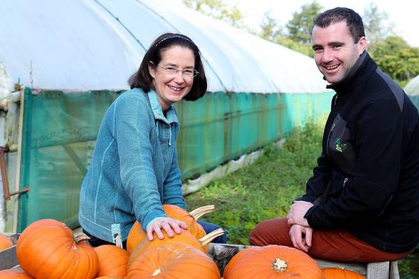 Spooky business: SuperValu to sell 120,000 Irish pumpkins this Halloween