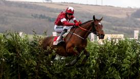 Tiger Roll ready to etch his name further into Cheltenham lore