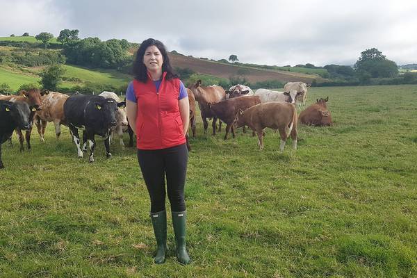 ‘We have been pushed into the same protests as the nurses’: beef farmers take to the streets