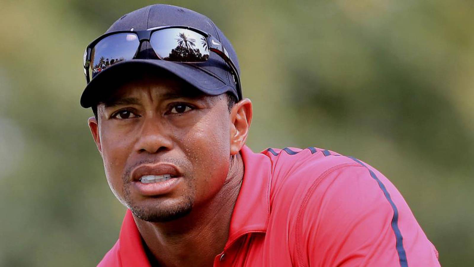 Tiger Woods allure remains strong as world number one heads to India ...