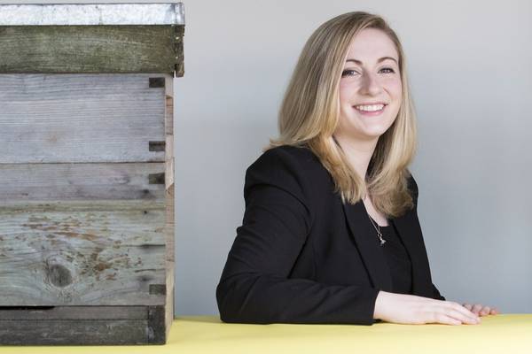 Cork firm ApisProtect gets €1.5m funding for bee monitoring tech