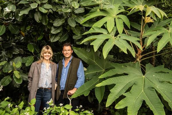 Dominic West on his natural swimming pool: ‘When I’m in the mood I do a spot of underwater gardening’