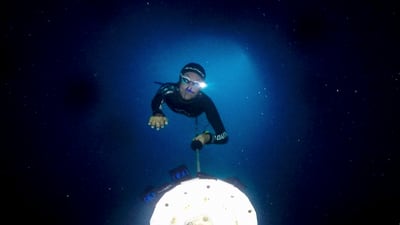 The Deepest Breath: A tense, engrossing documentary about the terrifying sport of freediving