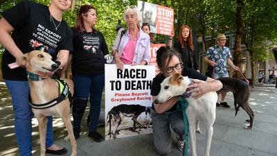 ‘Majority of greyhound owners abusive towards animals’, TD claims