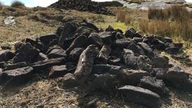 Bord na Móna welcomes report into transition away from peat in the midlands