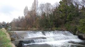 Go Walk: The Dodder River, Co Dublin