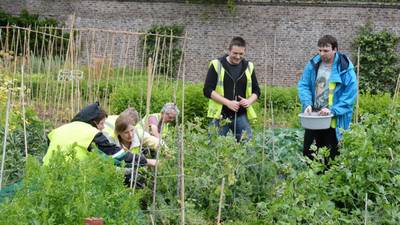 New Growth project  helps people to put down roots