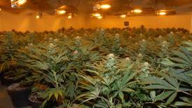 Almost 80 cannabis shipments sent to NI, Belfast court told