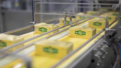 Kerry loses battle with Kerrygold owner over Kerrymaid trademark
