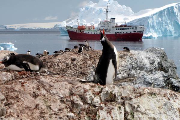Sea ice around Antarctica hits record low, data shows