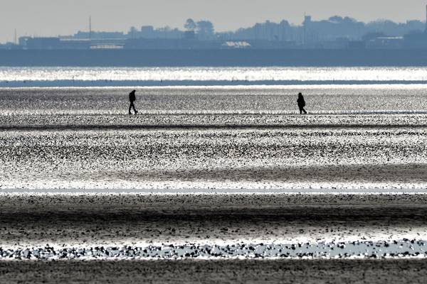 Building on Dublin Bay ‘could help the environment’