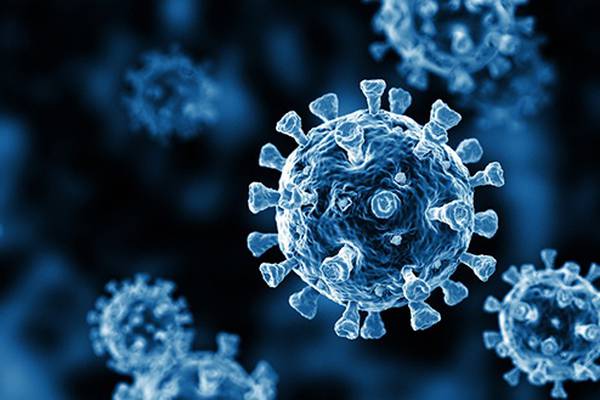 Coronavirus: 319 further cases reported in the State