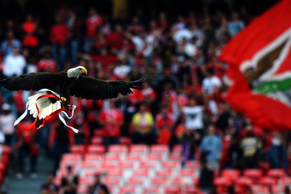 In bid to shoot the messenger, Benfica take aim at bloggers