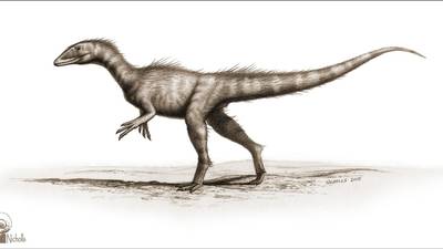 Prehistoric ‘dragon’ bones discovered on Welsh beach