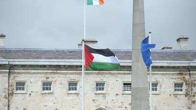 Man arrested scaling railings of Leinster House in attempt to remove Palestinian flag