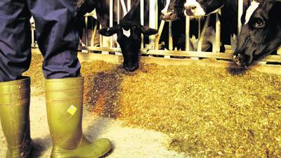 Teagasc urges farmers to plan ahead financially