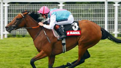 Costly quest for next Frankel the ultimate speculative punt