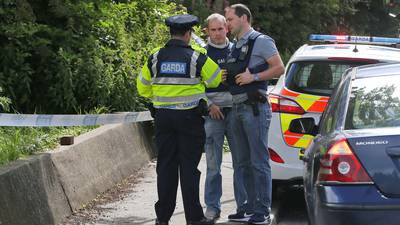 Men arrested in relation to Clondalkin assault released