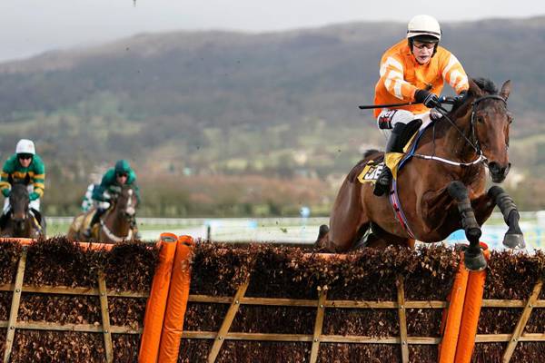Fakir D’Oudairies looks set for good dig at JCB after Cheltenham win