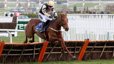 Yorkhill on course to start over fences at Fairyhouse