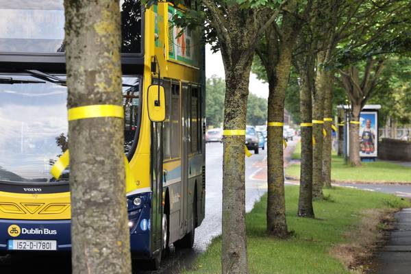 Yellow ribbon protest against tree felling for BusConnects project in north Dublin