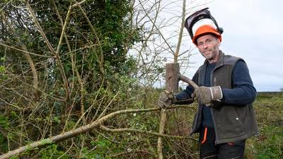 ‘Hedges are a highway for wildlife. You’ll never see a mouse springing across a field’