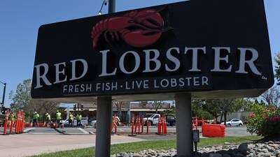 US Red Lobster seafood chain goes bankrupt after unlimited shrimp deal