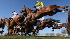 Bookmakers ‘went mad’ at Cheltenham race to the bottom