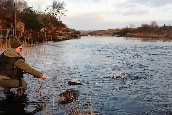 Angling Notes: 83 rivers to open for salmon and sea trout fishing in 2021