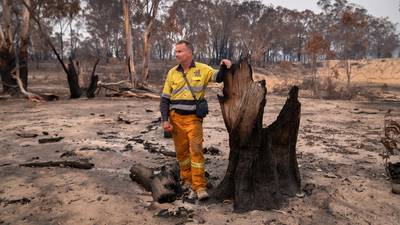 Irish backpackers in Australia can extend visas to help bushfire recovery