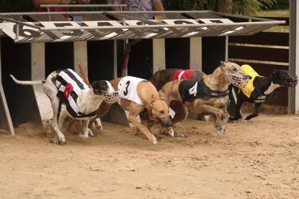 Minister defends €23m greyhound track cost as comparable to prices in area