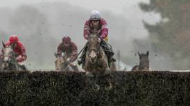 Daly Tiger springs a 20-1 surprise at Fairyhouse