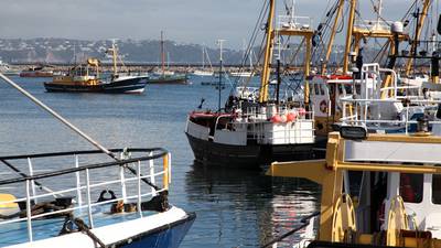 Coastal communities to get €45m in Brexit funds for seafood processing