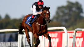 Free Eagle to spread wings in Prince of Wales’s Stakes