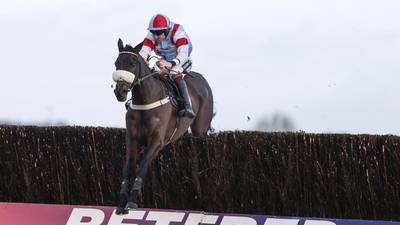 Dublin Chase enters equation for Saint Calvados